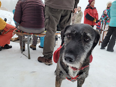 Kinderwintertag 2023