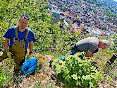 2025 - Aufräumungsarbeiten an der Ottilienkapelle, dem Ottilienstein
              und der Zustiegswege